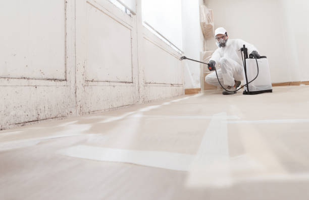 24/7 Emergency Mold Remediation experts in Baroda, MI